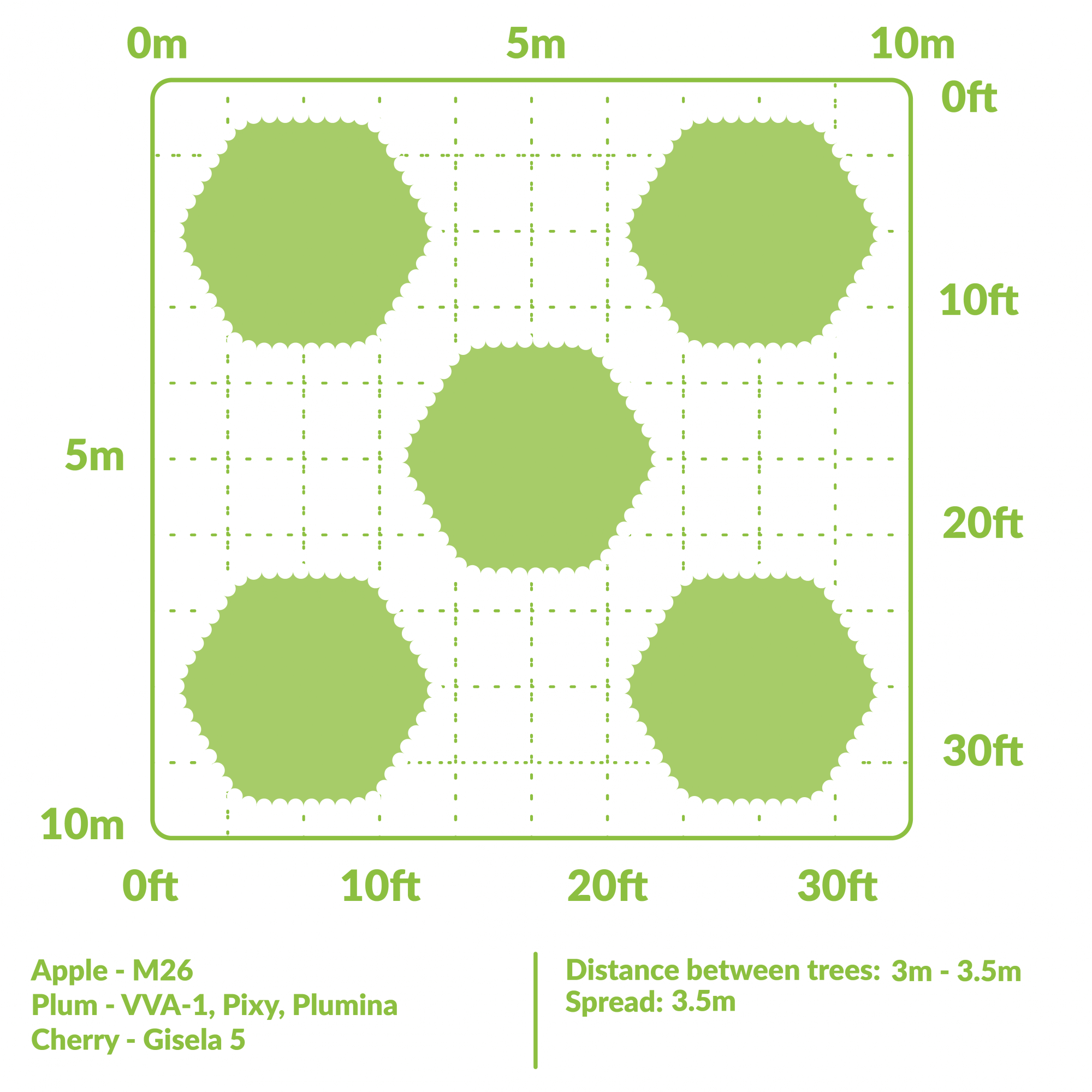 Fruit Tree Spacing Guide - The Primrose Garden Club | Expert Tips ...