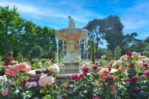 A fountain in a Madrid garden