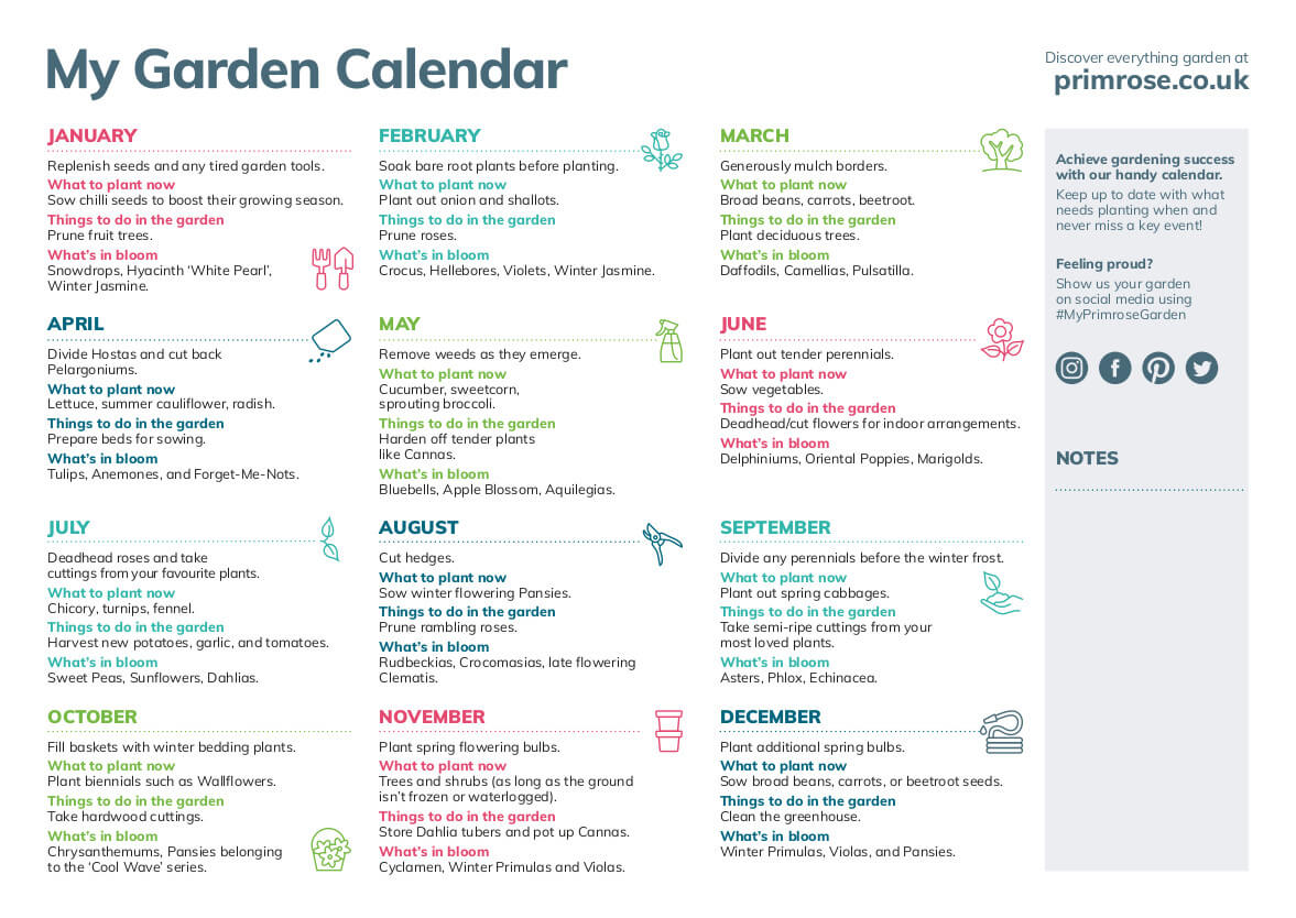 The Primrose Printable Garden Calendar Gardening Tips, Advice and